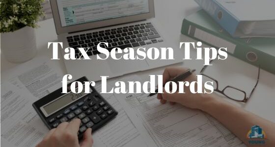 tax season