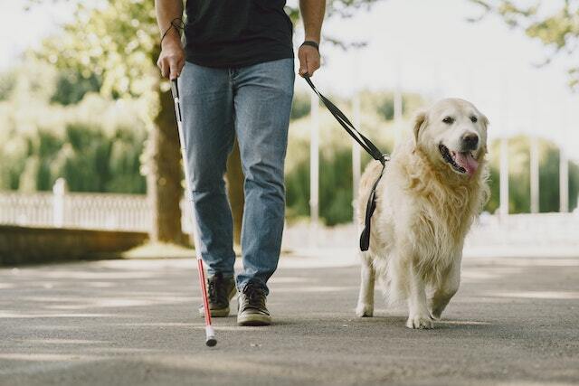 human walking his dog with a leash in their hand