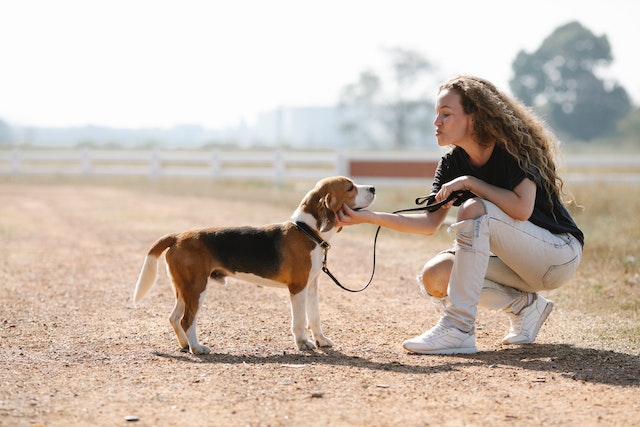 owner crouching to their dog's height with a leash in their hand